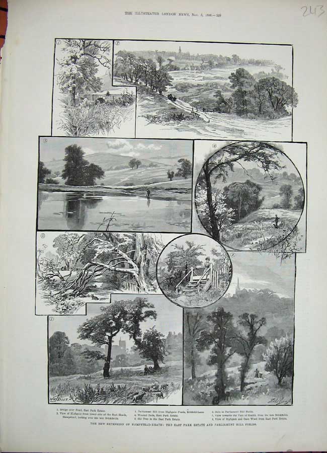 Old Antique Print 1888 Hampstead Heath Park Estate Parliament Fields Tree 19th