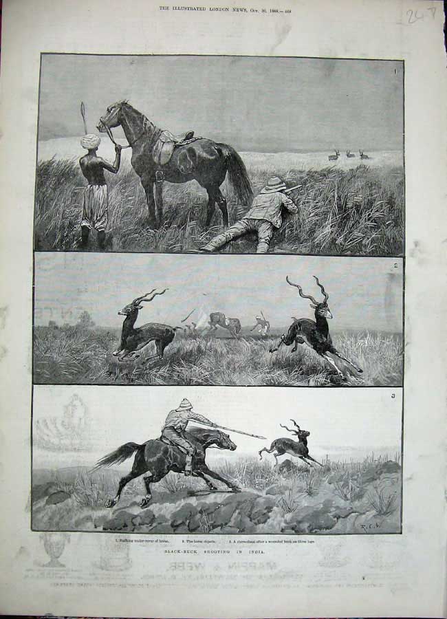 Old Antique Print 1888 Black-Buck Shooting India Men Horse Sport Animals 19th