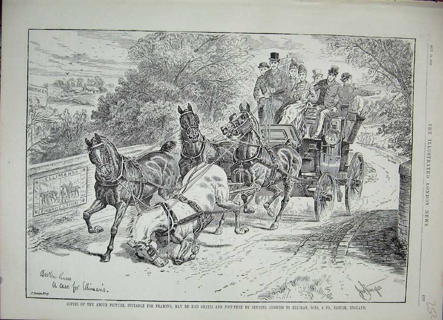Original Old Antique Print 1888 Advertisement Ellimans Embrocation Horses Coach