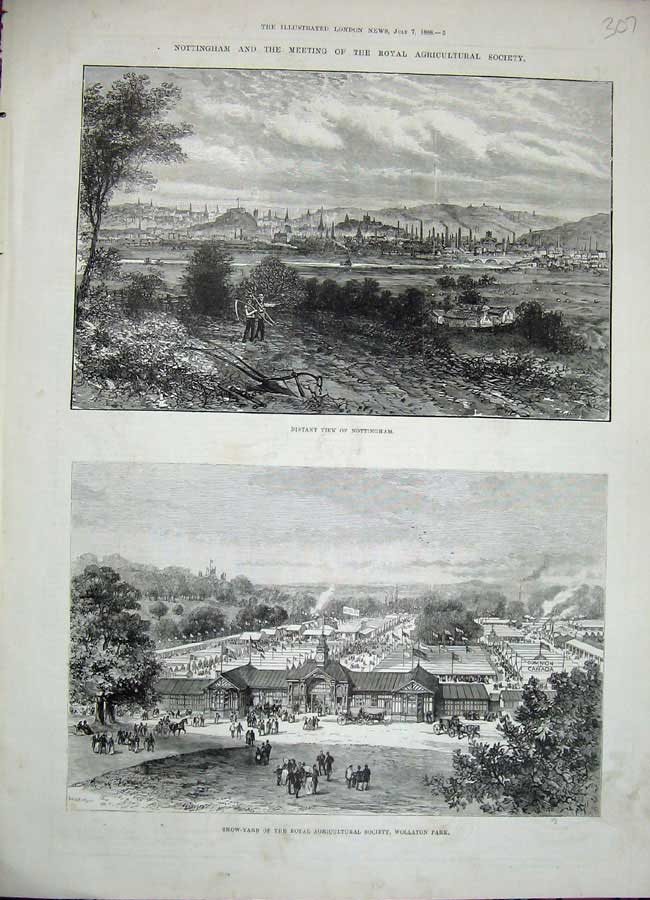 Original Old Antique Print 1888 Nottingham Show Yard Wollaton Park Agricultural