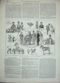 Old Antique Print 1888 Emperors Review Krasnoe Selo St Petersburg Donkey 19th