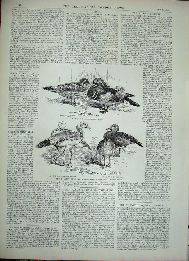 Original Old Antique Print 1888 Cattle Show Birmingham Dog Poultry Water-Fowl