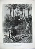Old Antique Print 1889 Woodville Fine Art Cleopatra Lion Man Weapon Roman 19th