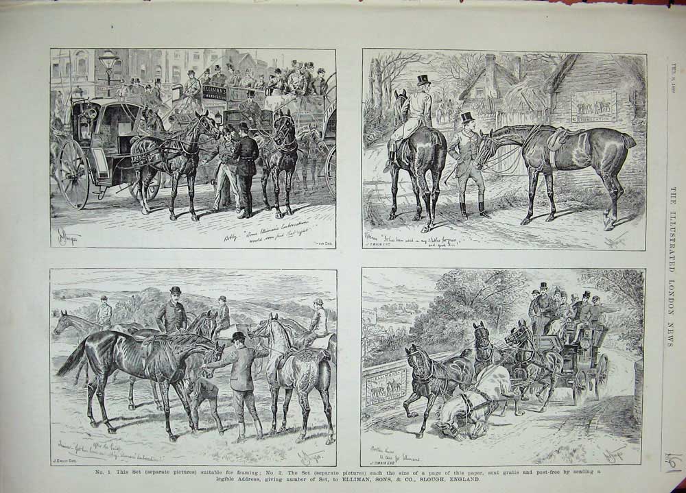 Old Antique Print 1889 Advertisement Ellimans Embrocation Horses Coaches 19th
