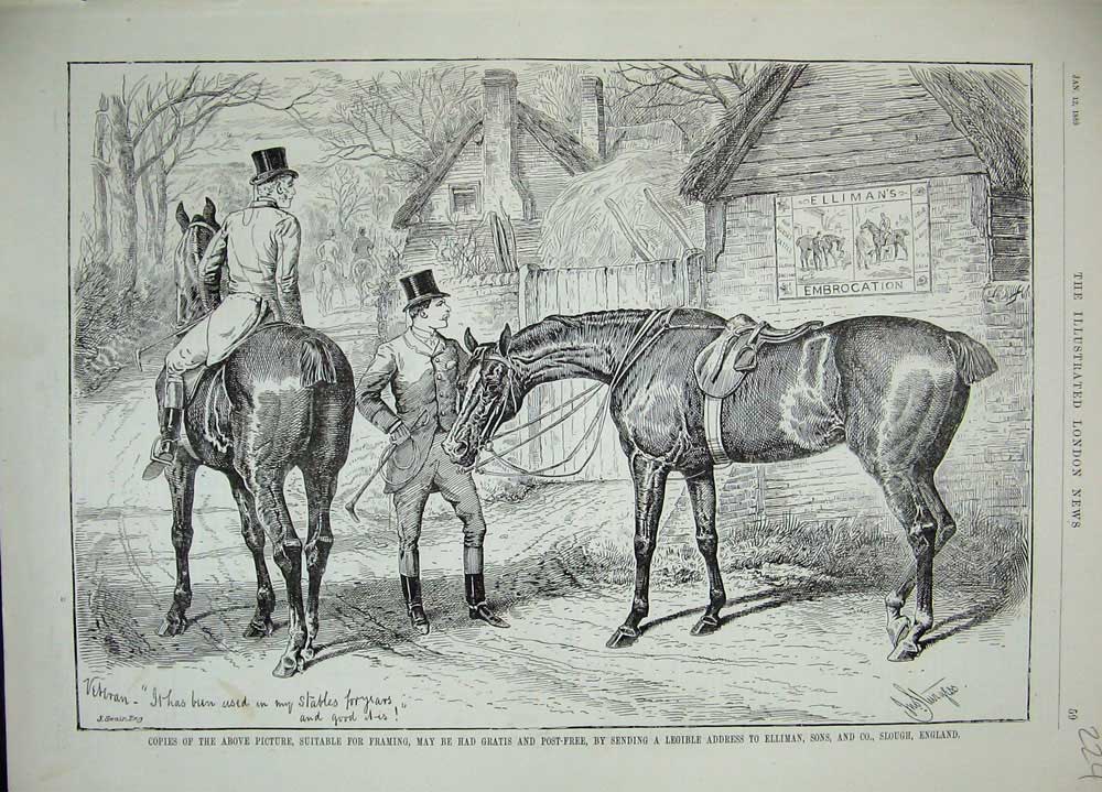 Original Old Antique Print 1889 Advertisment Ellimans Embrocation Horse Sport