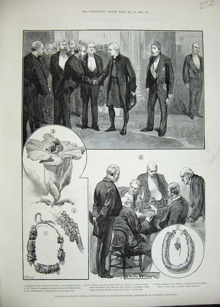 Original Old Antique Print 1889 Burlington House Scientific Novelties Men Table