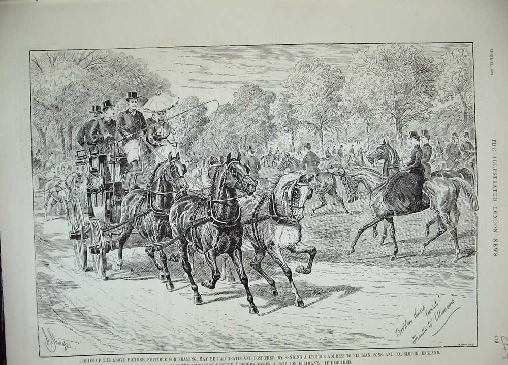 Old Print Ref.868 1889 Advertisement Ellimans Embrocation Horse Carriage