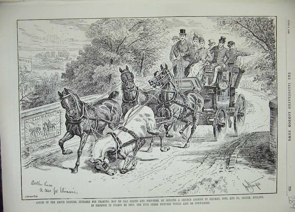 Old Print Ref.869 1889 Advertisement Ellimans Embrocation Horse Carriage