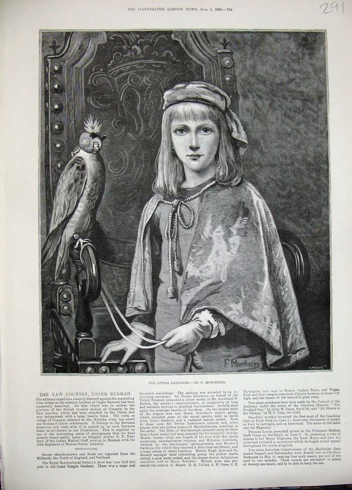 Original Old Antique Print 1889 Moscheles Fine Art Little Girl Falconer Bird
