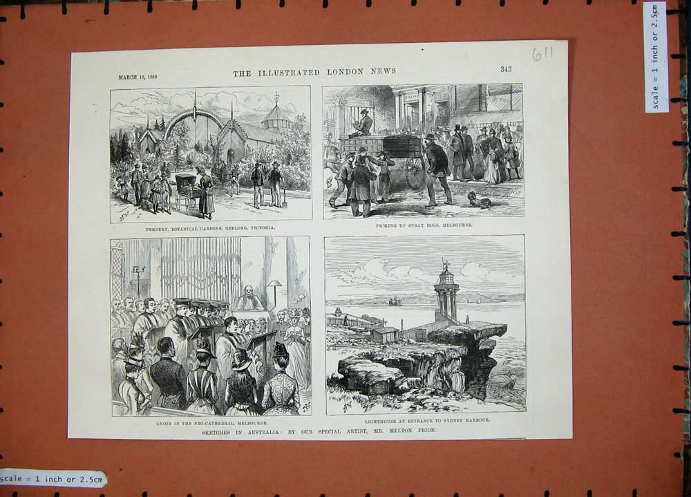 Old Antique Print 1889 Australia Botanical Gardens Victoria Sydney Church 19th