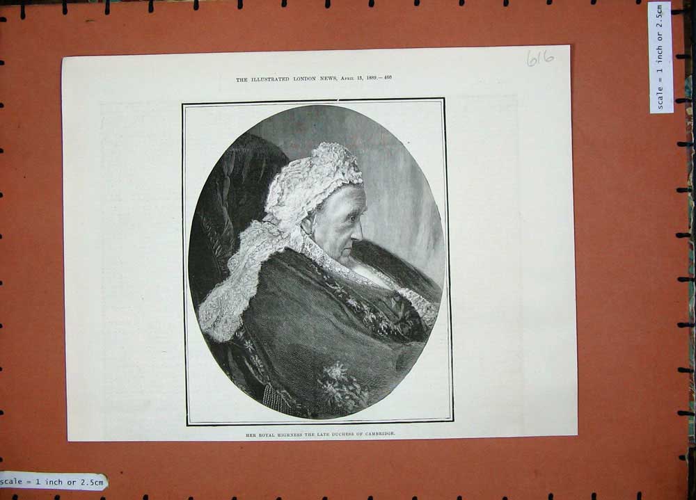 Old Antique Print 1889 Portrait Her Royal Highness Duchess Cambridge Lady 19th