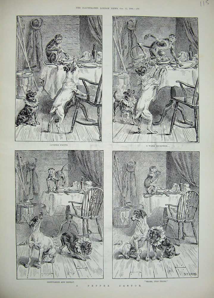 Original Old Antique Print 1889 Animals Dogs Monkeys Mischief Table Food 19th