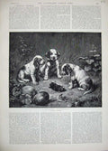 Original Old Antique Print 1889 Fine Art Reichert Puppy Dogs Dead Animal Mole