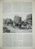 Original Old Antique Print 1889 Conveying Farming Produce Chile America Cattle