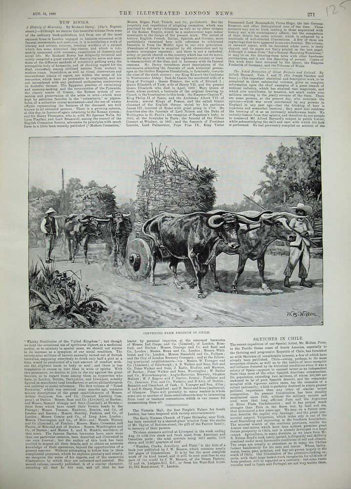 Original Old Antique Print 1889 Conveying Farming Produce Chile America Cattle