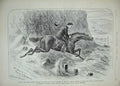 Original Old Antique Print 1889 Advertisment Ellimans Embrocation Man Horse Art