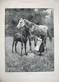 Original Old Antique Print 1889 Jacomb-Hood Fine Art Little Girl Feeding Horses