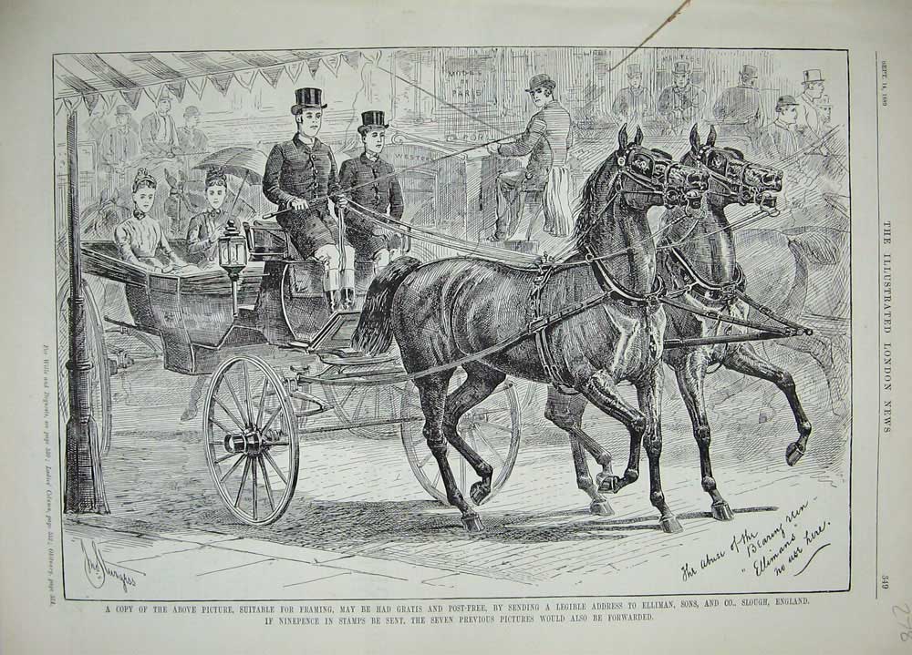 Original Old Antique Print 1889 Advertisement Ellimans Embrocation Horses Coach