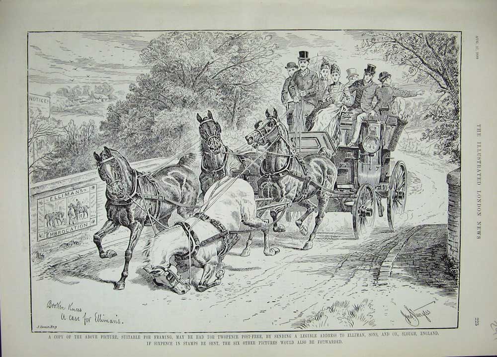 Old Print Ref.870 1889 Advertisement Ellimans Embrocation Horse Carriage