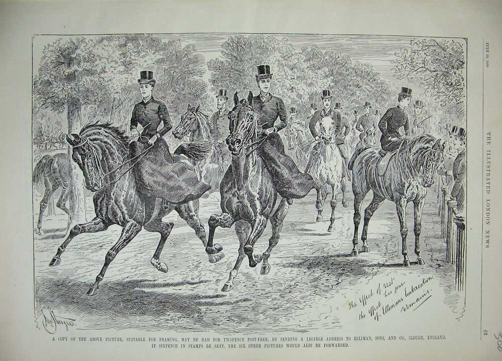 Original Old Antique Print 1889 Advertisement Ellimans Embrocation Horses Sport