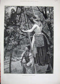 Old Antique Print 1889 Fine Art Ladies Cherry Picking Market Trees Ladder 19th