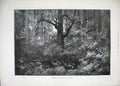 Original Old Antique Print Banket Reef Kantoor Kaap Gfields 1889 Forest Stags