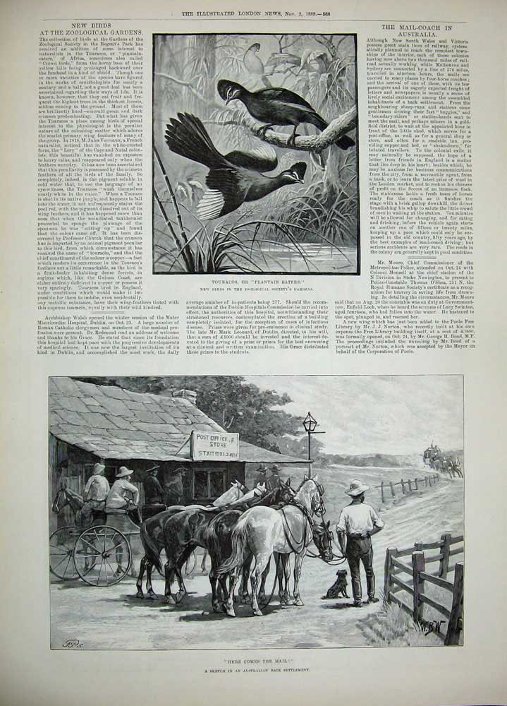 Antique Old Print 1889 Nitrate Tarapaca Chile Chalice Touracos Mail Horse 19th
