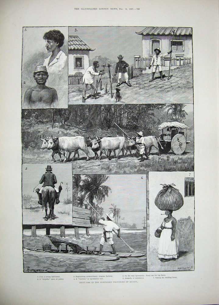 Original Old Antique Print 1889 Siers Institute Portsmouth Brazil Cattle Train