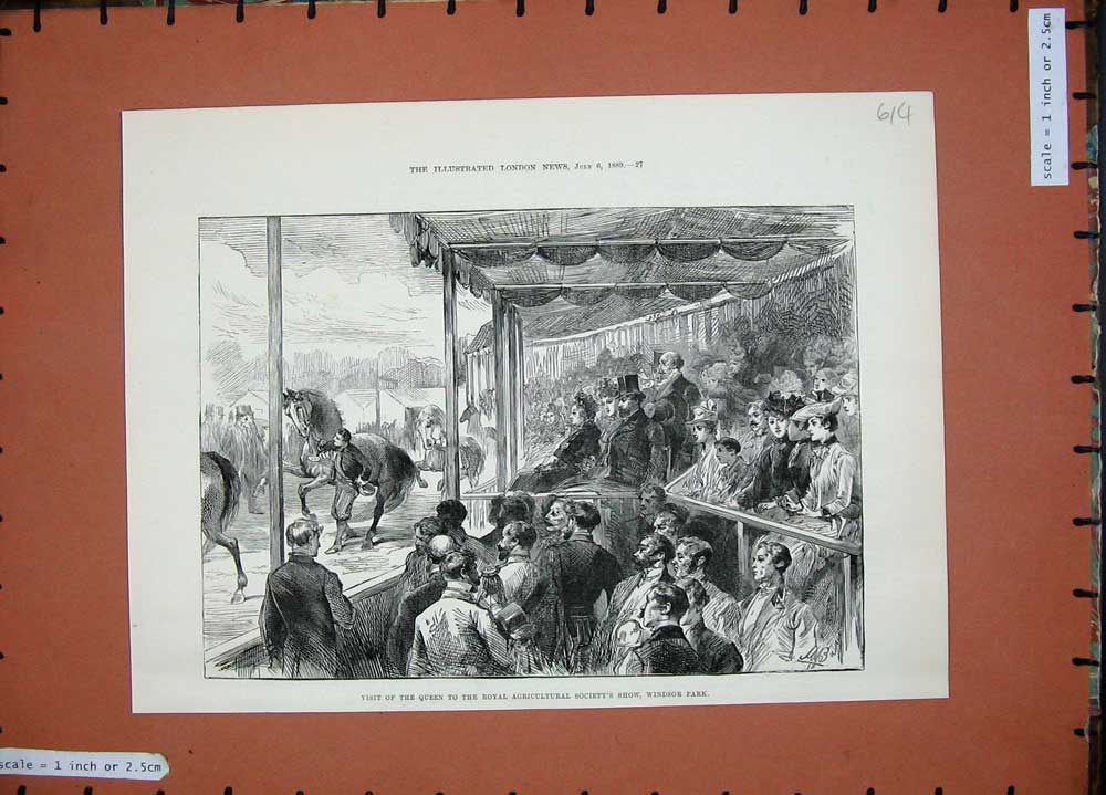 Old Antique Print 1889 Queen Royal Agricultural Show Windsor Park London 19th
