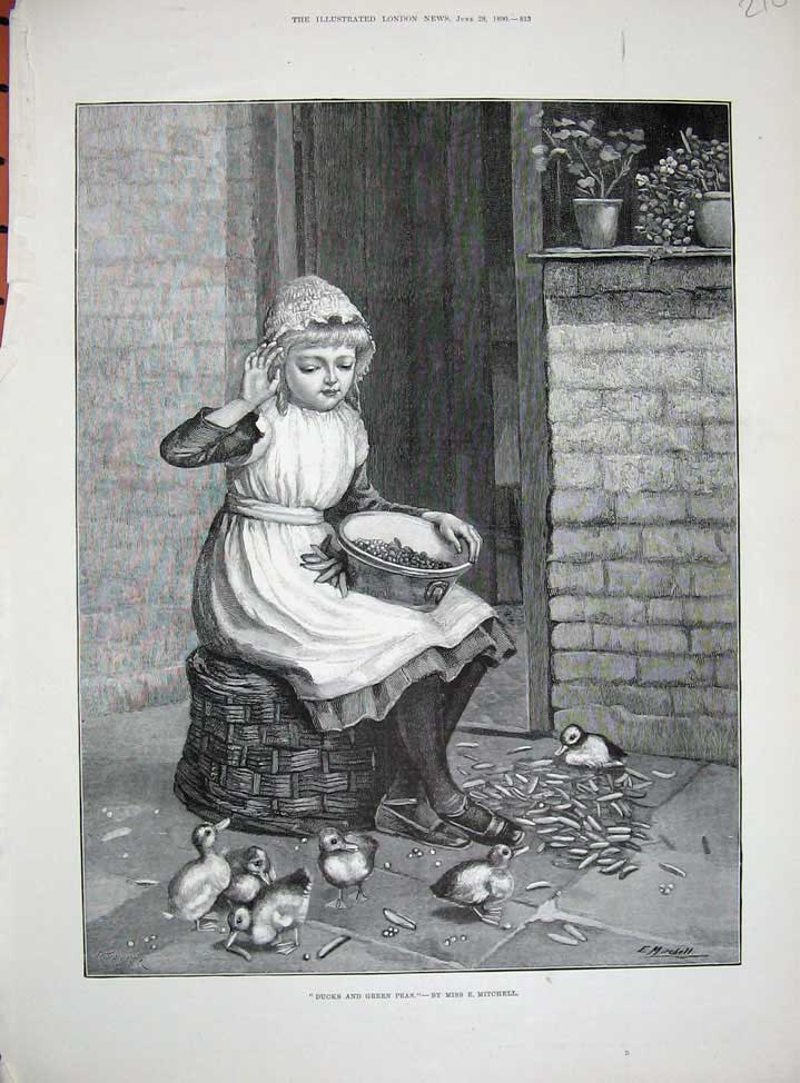Old Antique Print 1890 Mitchell Fine Art Little Girl Feeding Ducks Farm 19th