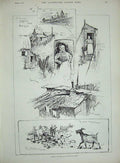 Original Old Antique Print 1890 Woodville Desert Lion Man America Shanty Goats