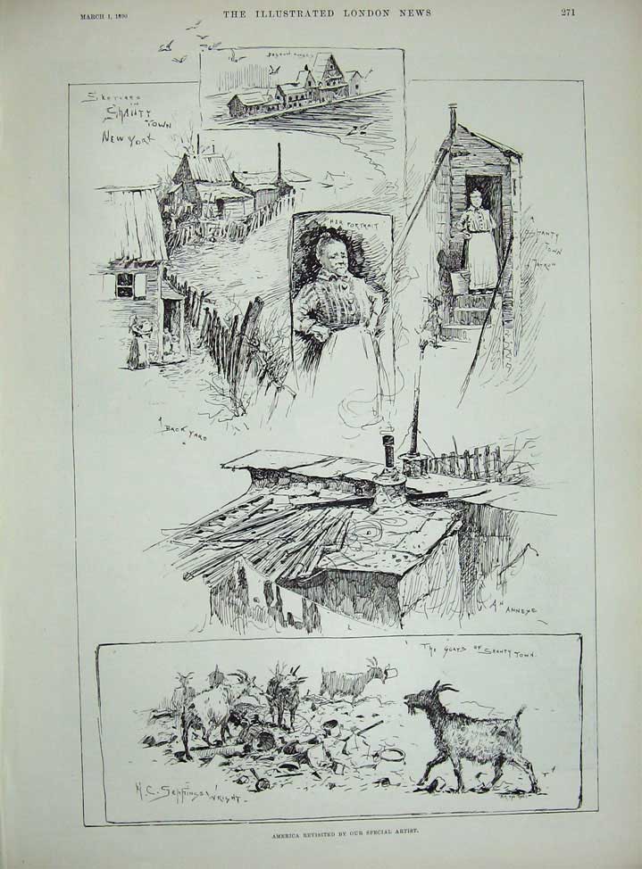 Original Old Antique Print 1890 Woodville Desert Lion Man America Shanty Goats