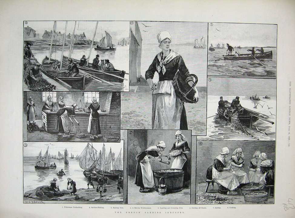 Old Antique Print French Sardine Industry 1890 Fishing Overend Fine Art 19th