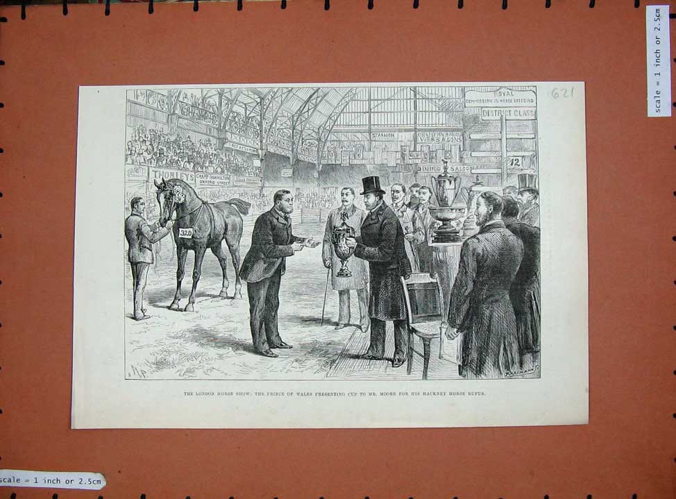 Old Antique Print 1890 London Horse Show Prince Wales Hackney Moore Cup 19th