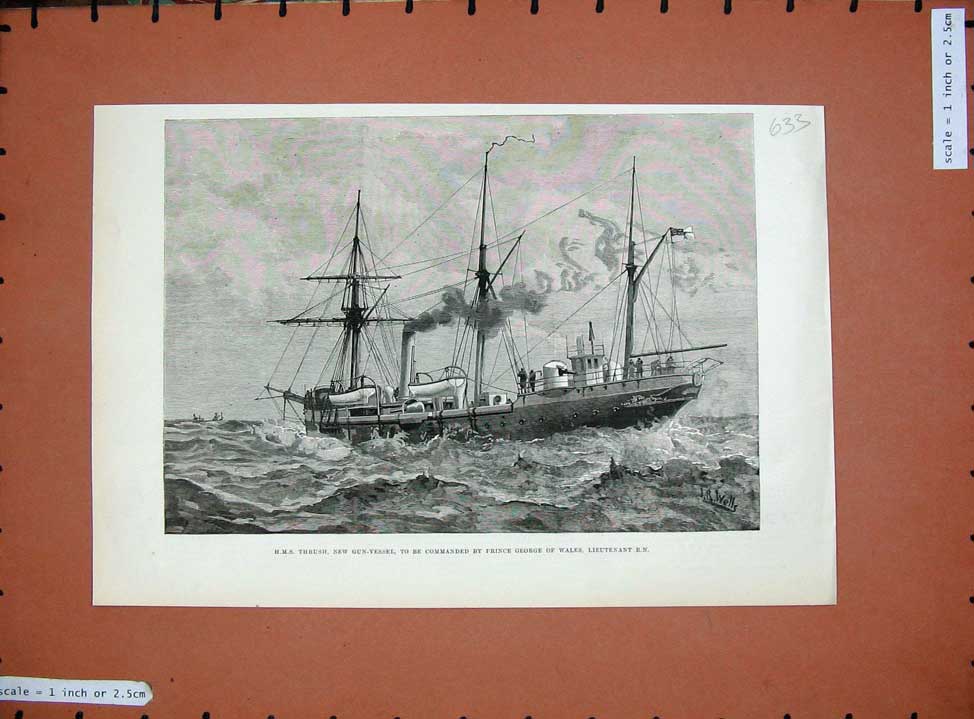 Old Antique Print 1890 H.M.S Thrush Gun-Vessel Ship Prince George Wales 19th