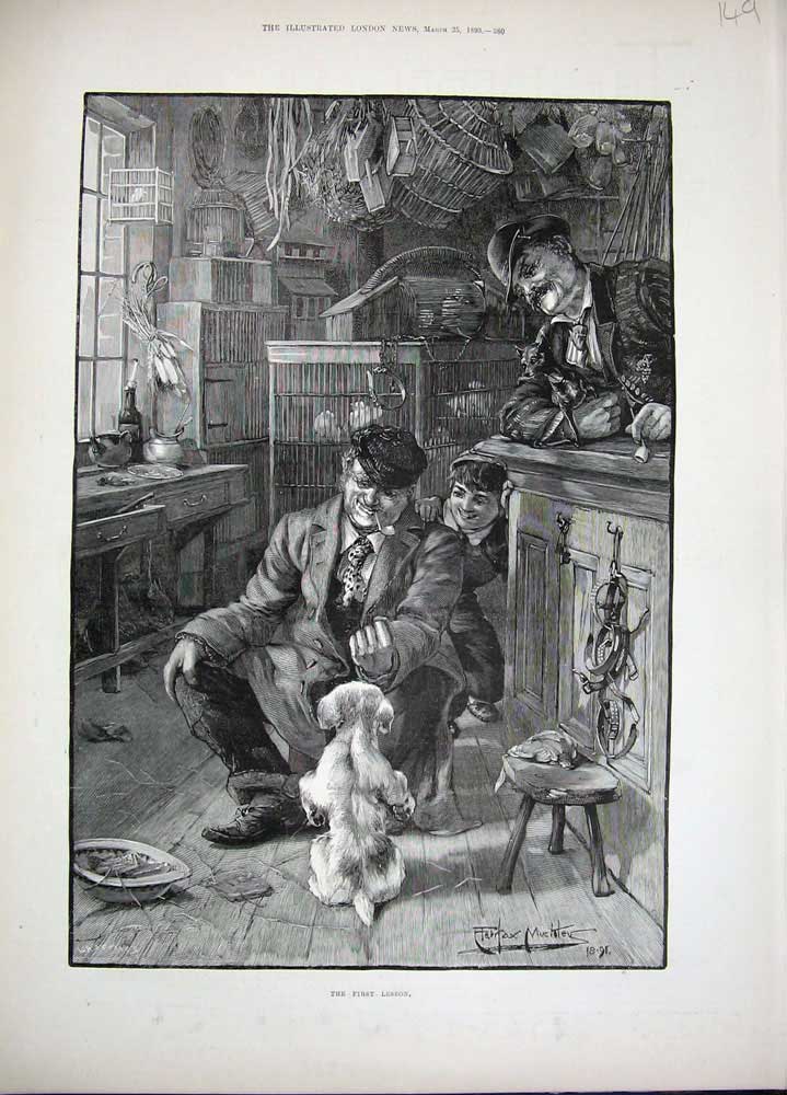 Original Old Antique Print 1893 Fine Art Pet Shop Puppy Dog Cages Man Boy 19th