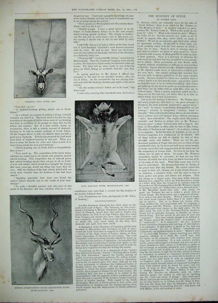Old Antique Print 1893 Rhinocerous Skull Eland Bull Dog Hyaena Lion Skin 19th