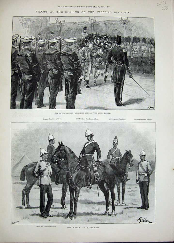 Original Old Antique Print 1893 Imperial Institute Naval Brigade Horses Siers