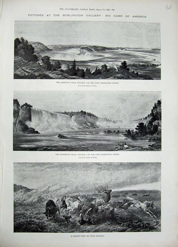 Old Antique Print 1894 Niagara Falls America Horseshoe River Prairie Fire 19th