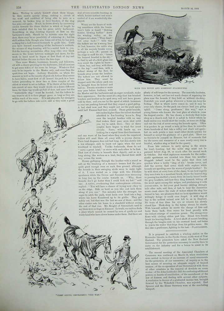 Old Antique Print 1894 Devon Somerset Hounds Hunting Sport Dogs Horses 19th