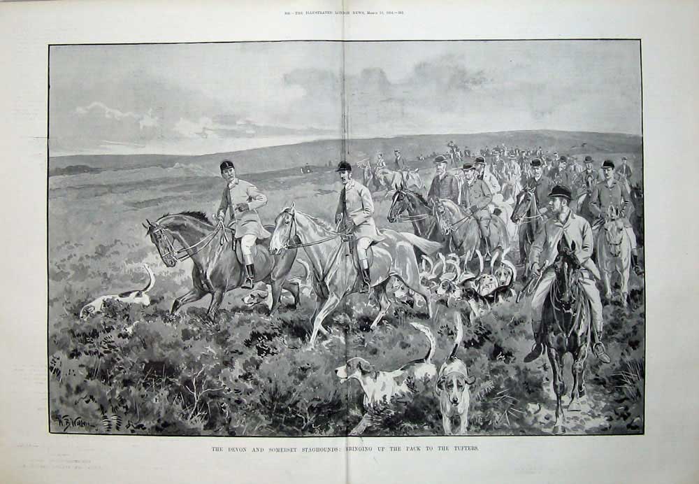 Original Old Antique Print 1894 Devon Somerset Staghounds Dogs Hunting Horses