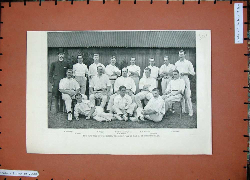 Old Antique Print 1894 Cape Team Cricketers Sport Sheffield Park Castens 19th