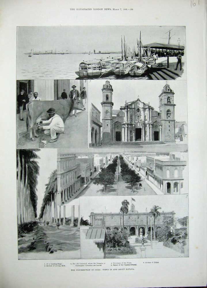 Original Old Antique Print 1896 Insurrection Cuba Havana Cathedral Prado Palms