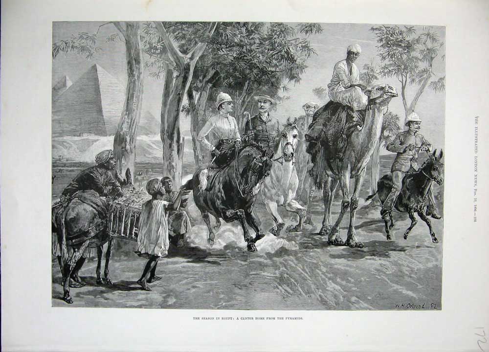 Original Old Antique Print 1896 Egypt Horses Camles Pyramids Trees Overend 19th