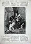 Original Old Antique Print 1896 Fine Art Kittens Playing Basket Animals Pets