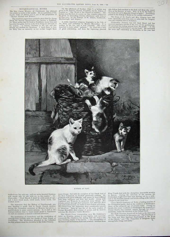 Original Old Antique Print 1896 Fine Art Kittens Playing Basket Animals Pets