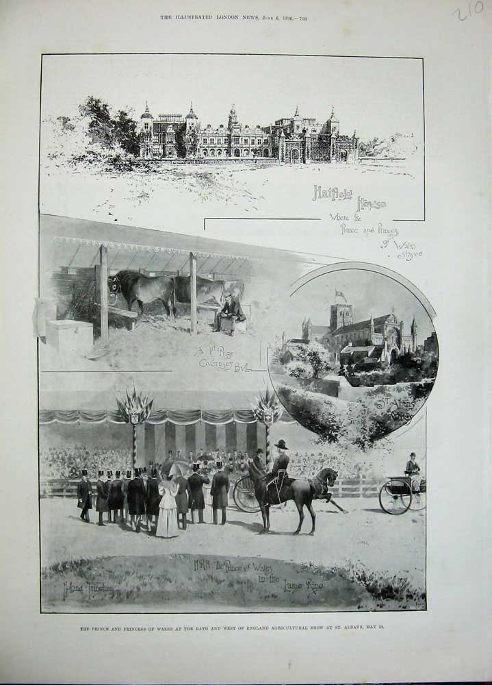 Old Antique Print 1896 Prince Wales Bath England Agricultural Show Albans 19th