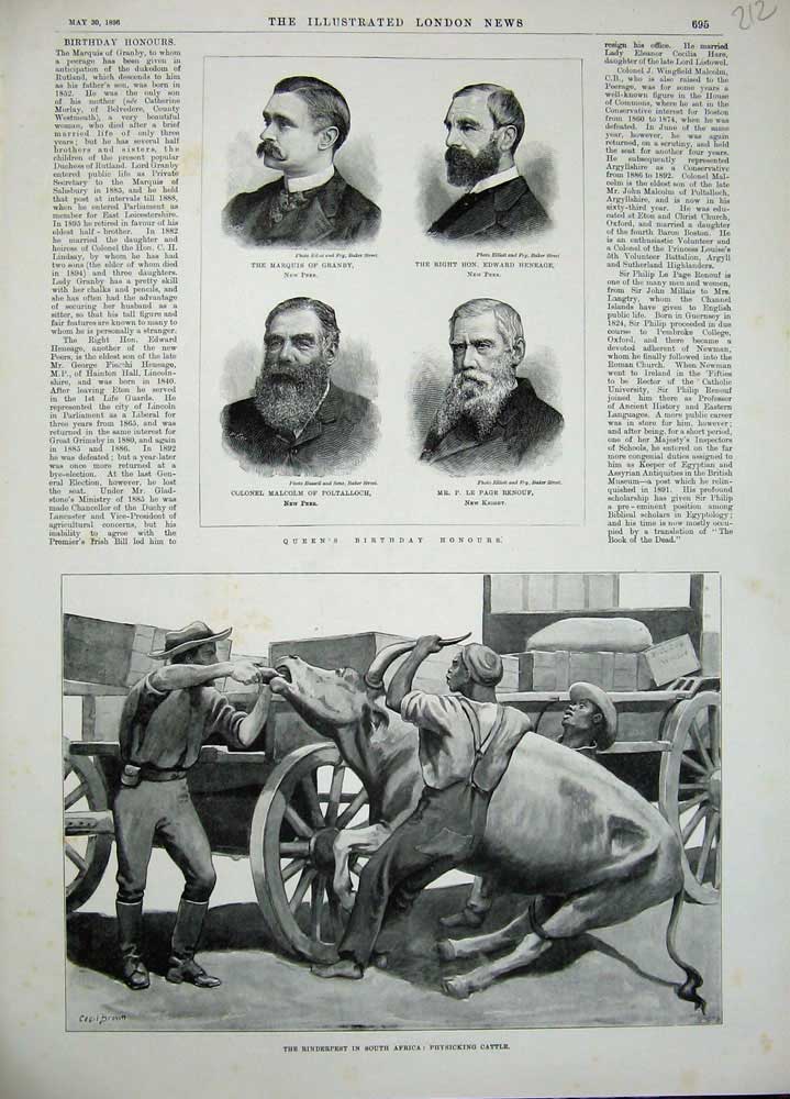 Old Antique Print 1896 Africa Physicking Cattle Heneage Renouf Poltalloch 19th
