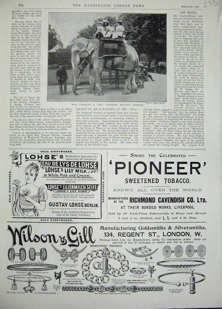 Original Old Antique Print 1896 Jung Purshwad Elephant Zoo Advertisement Wilson