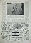 Old Antique Print 1896 British Ships Pinnace Hawke Advertisement Jeweller 19th
